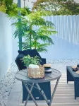 Ila's Beach House: Near IMG-Heated Salt Pool- Pets OK-Modern Organic Smart Home