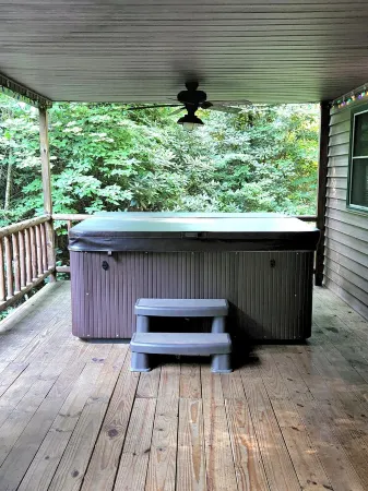 PEACEFUL SECLUDED CABIN IN THE "MOUNTAINS" OF DOE VALLEY! Отели в г. Джонсон