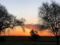 The Fern Cave at Caprock Canyons
