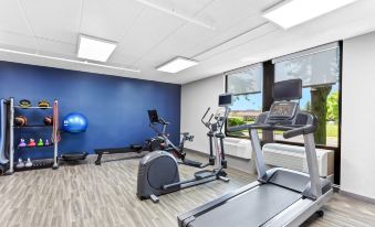 Hampton Inn Chicago/Naperville Near Niu Conference Center