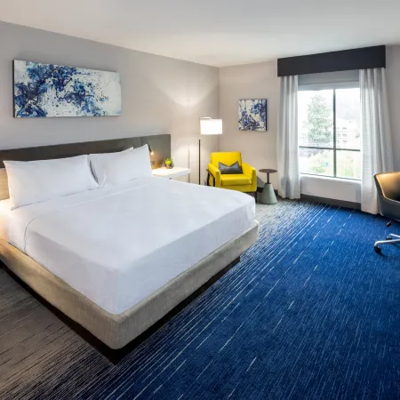 Hilton Garden Inn Redmond Seattle