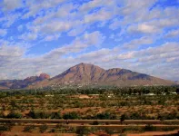 The BEST Old Town Scottsdale location!!1 bd /1bth beautiful mid century condo.
