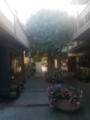 Downtown Charming, 2 Br 2 BA Flat, 1 Block from Ocean Ave, Carmel-by-The-Sea, CA