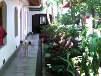 Hotel il Padrino Hotels in 