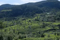Planters Punch Hotels in Nilgiris