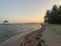 finca beach house and cabana Hotels in Placencia