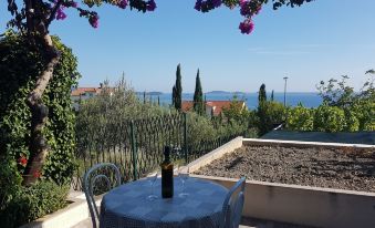 Apartments Kust