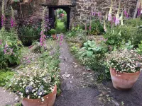 Frizenham Farmhouse B&B Hotels in Torrington