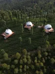 Vythiri Tea Valley I Best Hotel in Wayanad l Hotels in Vythiri Wayanad - 3-Star