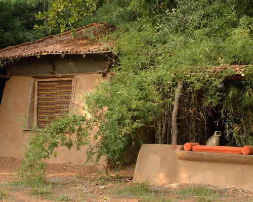 Mahua Kothi Bandhavgarh - A Taj Safari Lodge Hotels in Tala