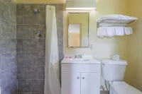 OYO Hotel North Lima Oh - Boardman - Pet friendly