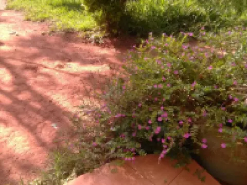 Prudence Guest House Hotels in Bondo