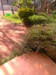 Prudence Guest House Hotels in Bondo