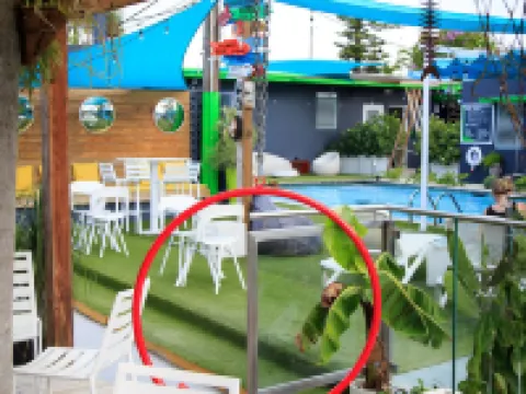 โนมาดาบีชโฮสเทล - สำหรับผู้ใหญ่เท่านั้น โรงแรมในแคโรไลนา