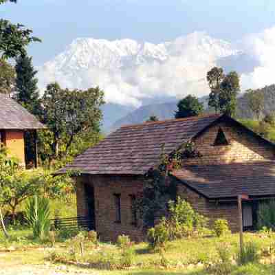 Tiger Mountain Pokhara Lodge Hotel Exterior