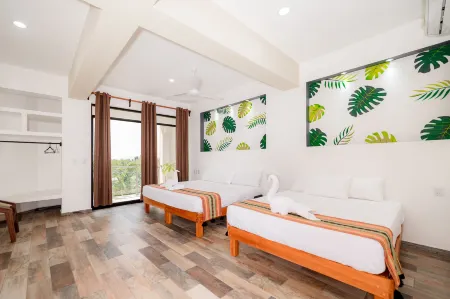 Hotel Axolotl Отели в г. Бахос де Чила