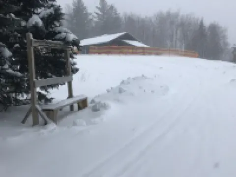 Stratton's Best Kept Secret Ski On/Off Unit E Hotels in Stratton Mountain
