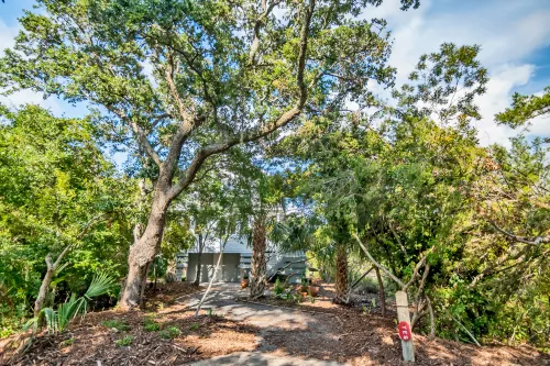 Magnificent Marsh Views and Golf Carts Included - Stunning Coastal Haven