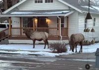 Farmhouse in Downtown Loveland with Hot Tub