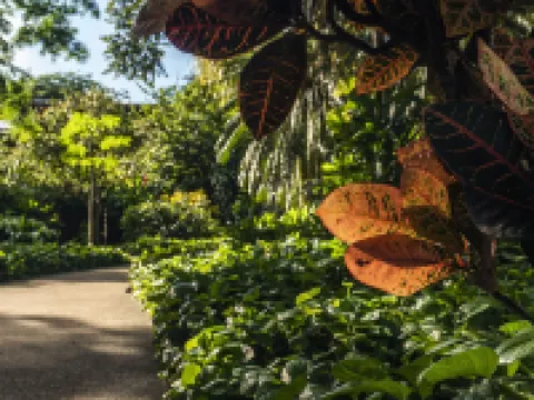 Capitán Suizo Beachfront Boutique Hotel Hotels in Tamarindo