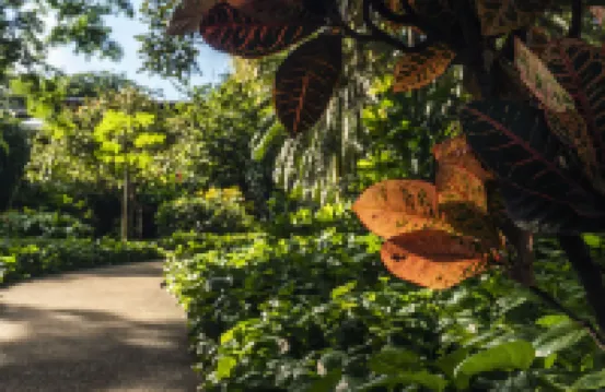 Capitán Suizo Beachfront Boutique Hotel