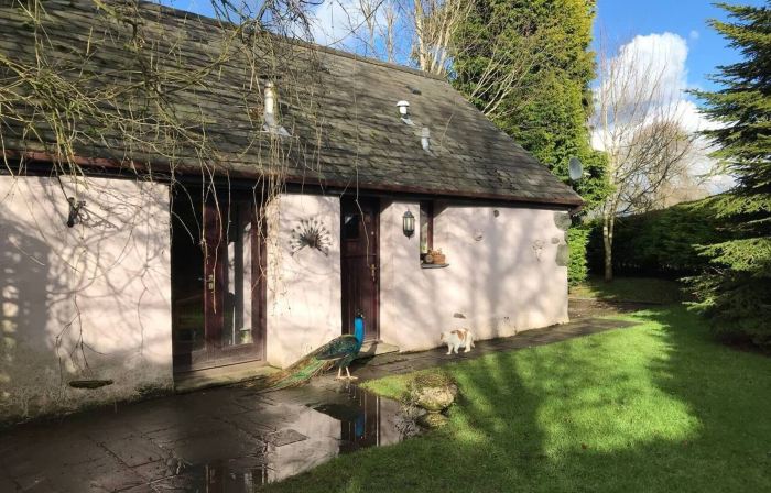 Converted Stone Barn -20 Acres - Farm Animals!