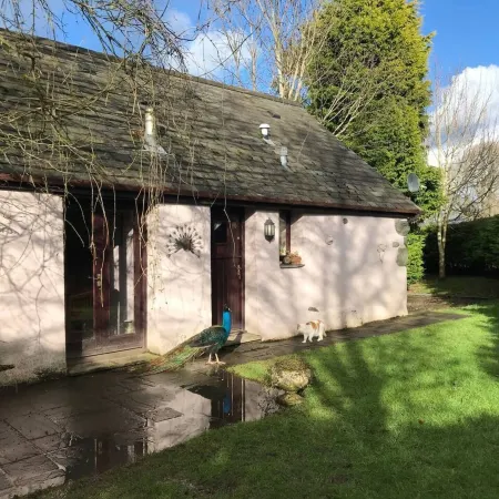 Converted Stone Barn -20 Acres - Farm Animals!
