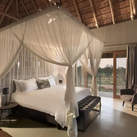 Mhondoro Safari Lodge & Villa