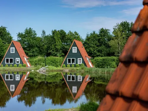 Detached Chalet in Tranquil Dutch Countryside - 3-Sterne