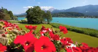 Inselhotel Faakersee Hotels in Gemeinde Finkenstein am Faaker See