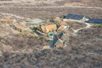 サファリフック のホテル