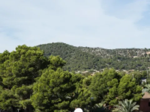 Martinez Apartments Hotels in Palmanova