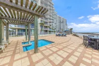 Shoalwater 804 - Ocean View