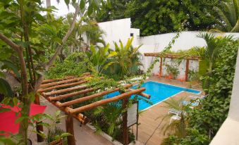 Hotel Villas Colibrí Suites & Bungalows