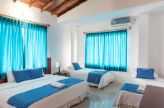 Hotel la Gran Tortuga Các khách sạn ở 