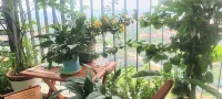 Căn hộ chung cư Ecopark Hưng Yên Các khách sạn gần Chùa Xuân Quan