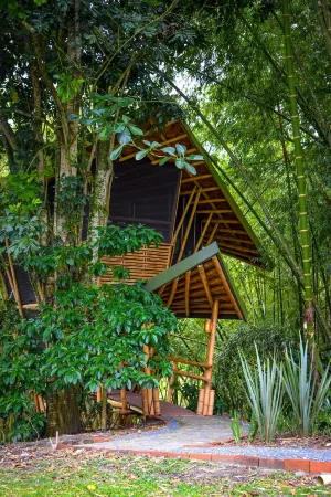 Eco Hotel Hacienda El Diamante Отели в г. Гуадалахара де Буга