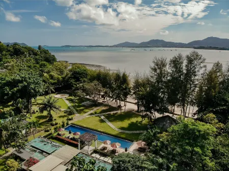 The Mangrove by Blu Monkey