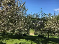 Cotswolds Camping at Holycombe Các khách sạn ở 