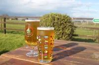 The Chequers Inn Hotel a Newport