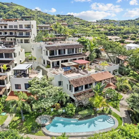Tropical Gardens