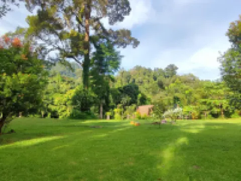 Green Forest Tangkahan Hotels in Langkat Regency
