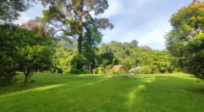 Green Forest Tangkahan Hotéis em 