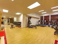 Sheraton Duluth Hotel - gimnasio