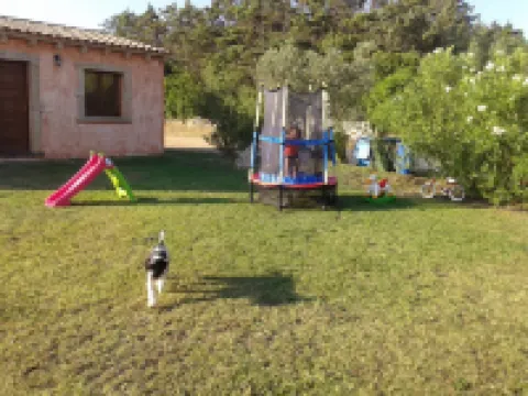 B&B Pubulos