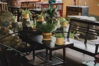 Hang Mua Ecolodge Garden Hotel a Ninh Tiến