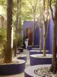 The Roseate Hotell i Rangpuri