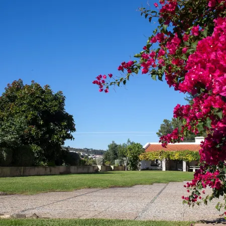 Lisbon Country Villa