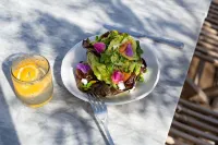 The Surfrider Malibu Hotels in Topanga