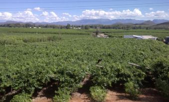 Randrivier Guest House